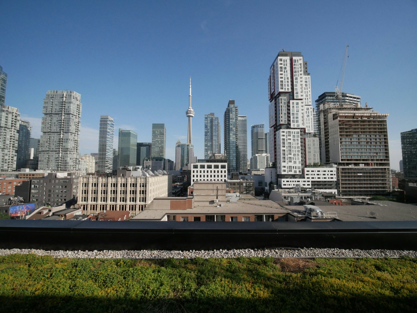 Modern city skyline with the CN Tower under a clear blue sky.